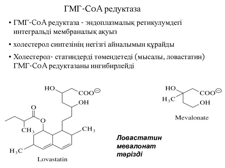 ГМГ-CoA редуктаза - эндоплазмалық ретикулумдегі интегральді мембраналық ақуыз холестерол синтезінің негізгі