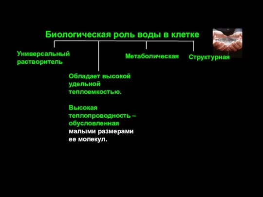 Обладает высокой удельной теплоемкостью. Высокая теплопроводность – обусловленная малыми размерами ее