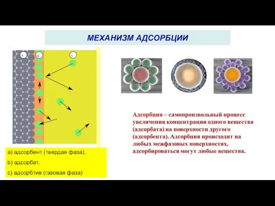 a) адсорбент (твердая фаза), b) адсорбат, c) адсорбтив (газовая фаза) МЕХАНИЗМ АДСОРБЦИИ