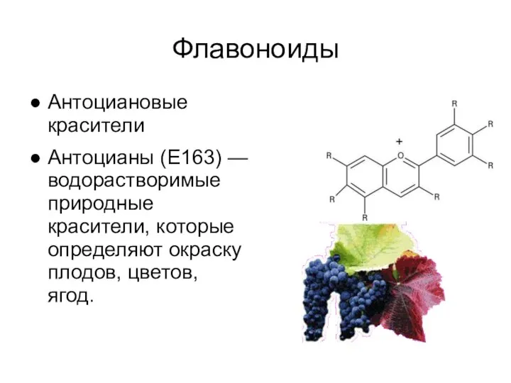 Флавоноиды Антоциановые красители Антоцианы (Е163) — водорастворимые природные красители, которые определяют окраску плодов, цветов, ягод.