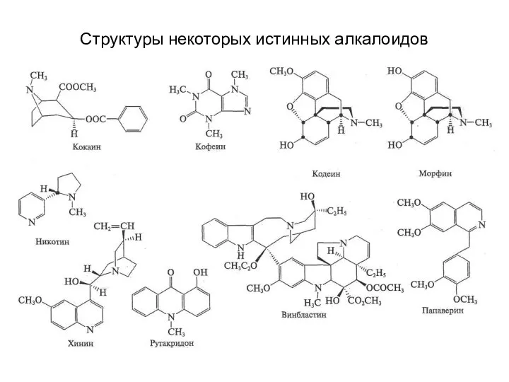 Структуры некоторых истинных алкалоидов