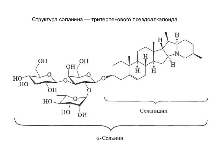 Структура соланина — тритерпенового псевдоалкалоида