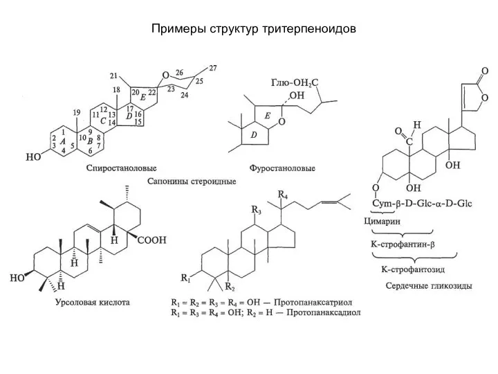 Примеры структур тритерпеноидов