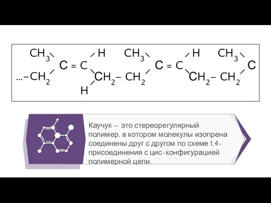 CH3 …–CH2 С = C H H СH2– CH2 CH3 С