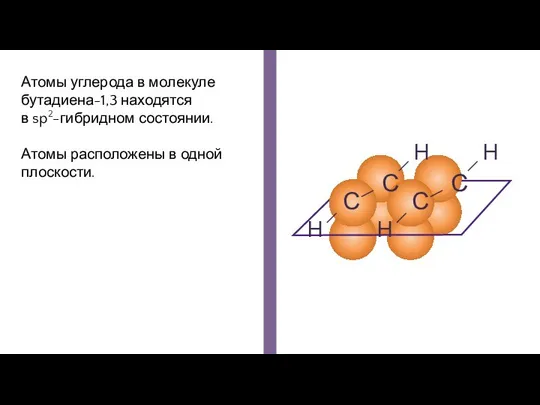 Атомы углерода в молекуле бутадиена-1,3 находятся в sp2-гибридном состоянии. Атомы расположены