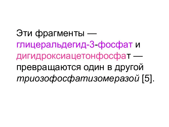 Эти фрагменты — глицеральдегид-3-фосфат и дигидроксиацетонфосфат — превращаются один в другой триозофосфатизомеразой [5].