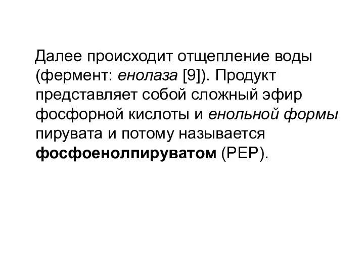 Далее происходит отщепление воды (фермент: енолаза [9]). Продукт представляет собой сложный