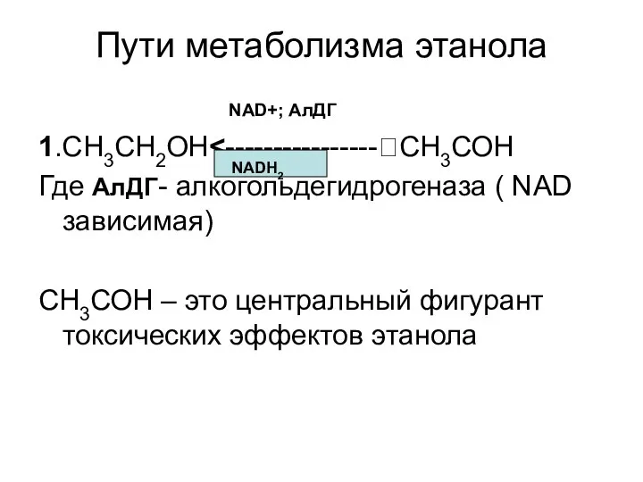 Пути метаболизма этанола NAD+; АлДГ 1.СН3СН2ОН Где АлДГ- алкогольдегидрогеназа ( NAD