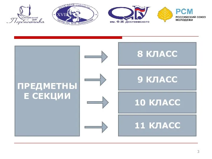 ПРЕДМЕТНЫЕ СЕКЦИИ 8 КЛАСС 11 КЛАСС 10 КЛАСС 9 КЛАСС