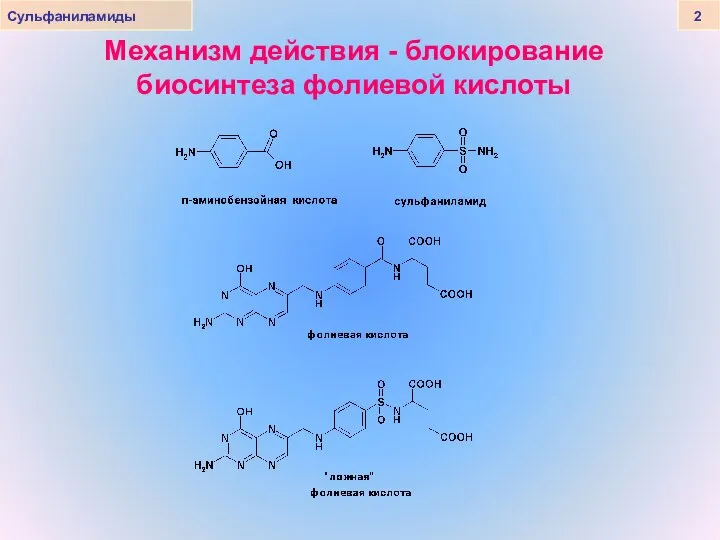 Механизм действия - блокирование биосинтеза фолиевой кислоты Сульфаниламиды 2