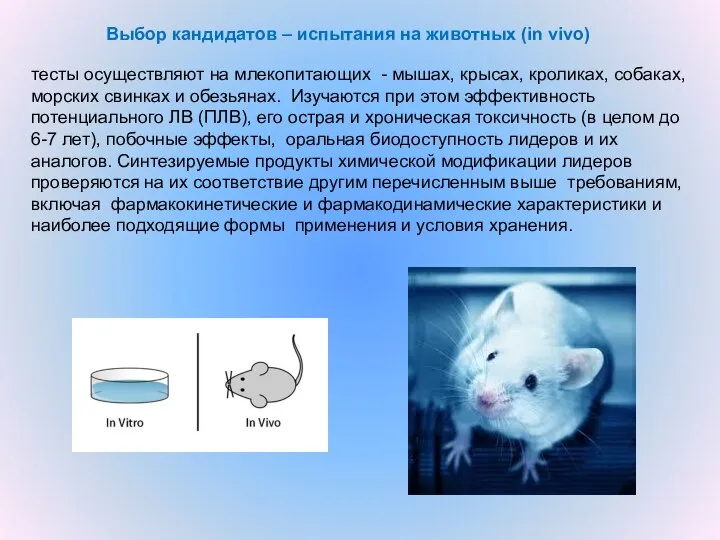 Выбор кандидатов – испытания на животных (in vivo) тесты осуществляют на