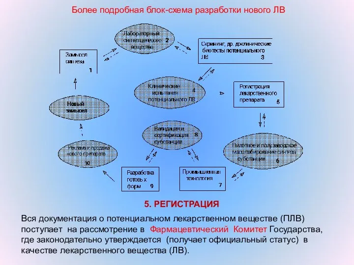 Более подробная блок-схема разработки нового ЛВ Вся документация о потенциальном лекарственном