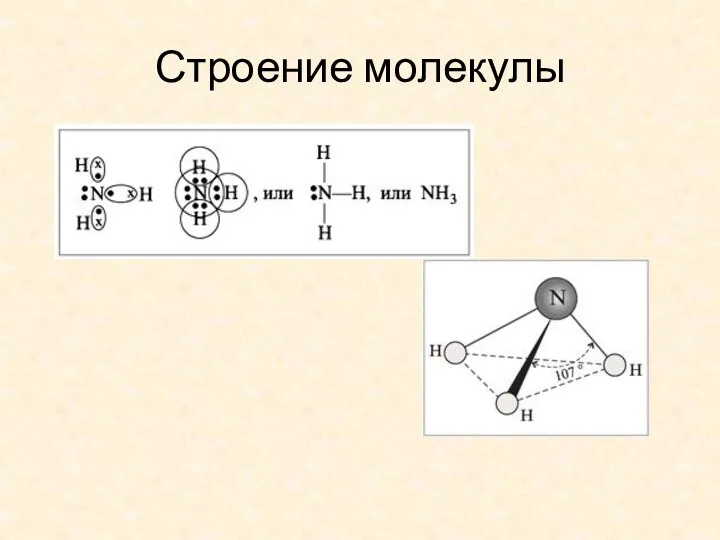 Строение молекулы