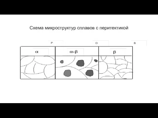 Схема микроструктур сплавов с перитектикой