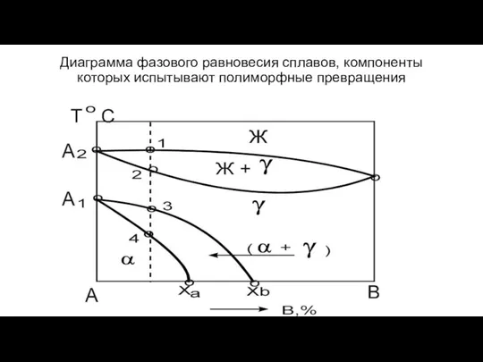 Диаграмма фазового равновесия сплавов, компоненты которых испытывают полиморфные превращения