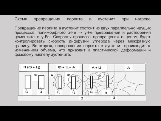 Схема превращения перлита в аустенит при нагреве Превращение перлита в аустенит