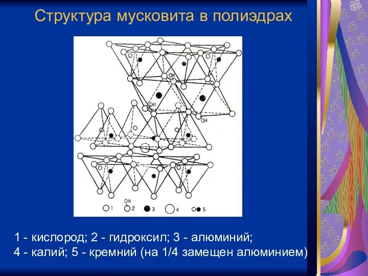 Структура мусковита в полиэдрах 1 - кислород; 2 - гидроксил; 3