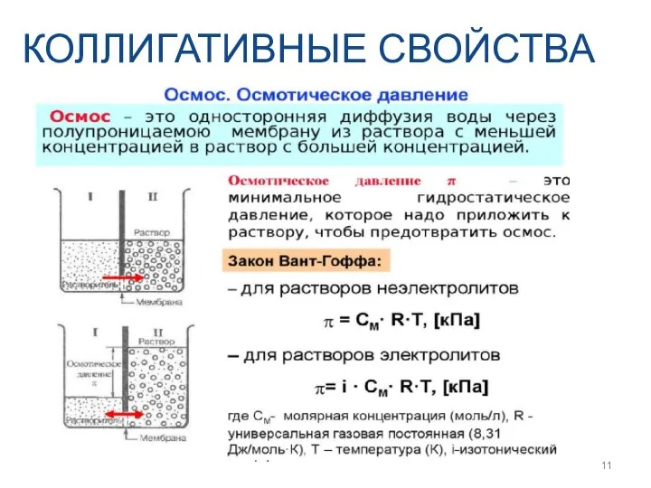 КОЛЛИГАТИВНЫЕ СВОЙСТВА