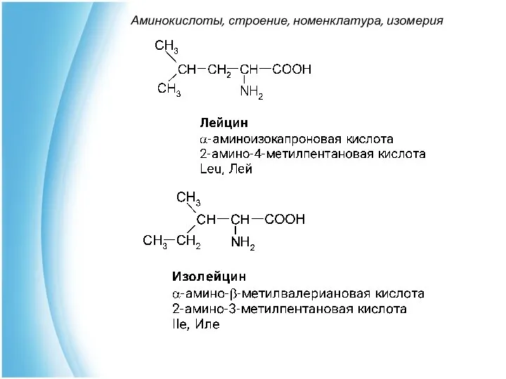 Аминокислоты, строение, номенклатура, изомерия