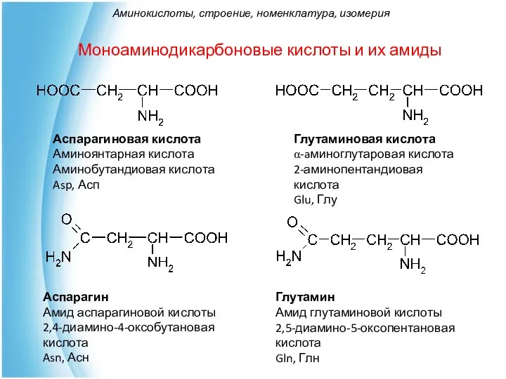 Моноаминодикарбоновые кислоты и их амиды Аспарагиновая кислота Аминоянтарная кислота Аминобутандиовая кислота