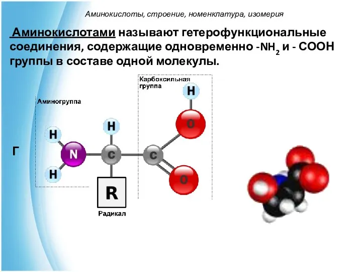 Аминокислотами называют гетерофункциональные соединения, содержащие одновременно -NH2 и - СООН группы