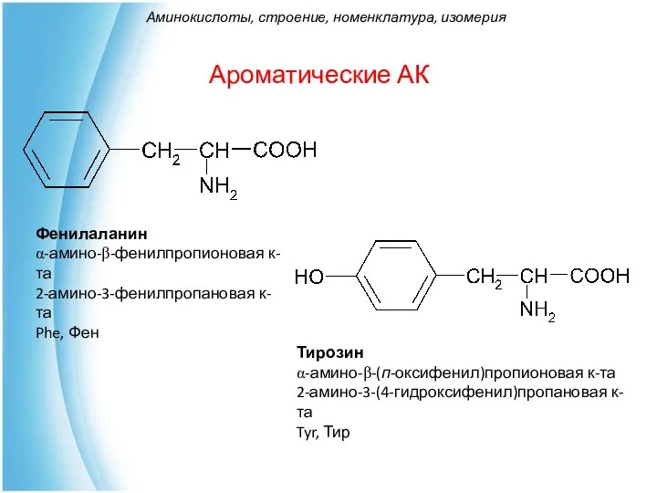 Ароматические АК Фенилаланин α-амино-β-фенилпропионовая к-та 2-амино-3-фенилпропановая к-та Phe, Фен Тирозин α-амино-β-(п-оксифенил)пропионовая