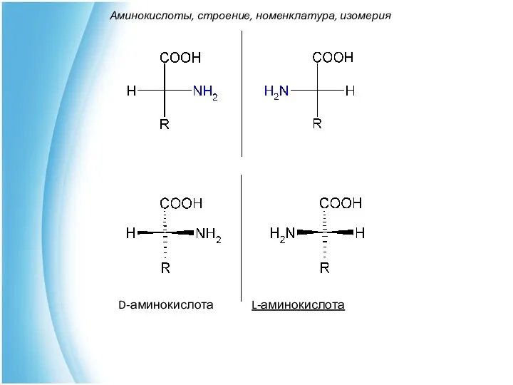 D-аминокислота L-аминокислота Аминокислоты, строение, номенклатура, изомерия