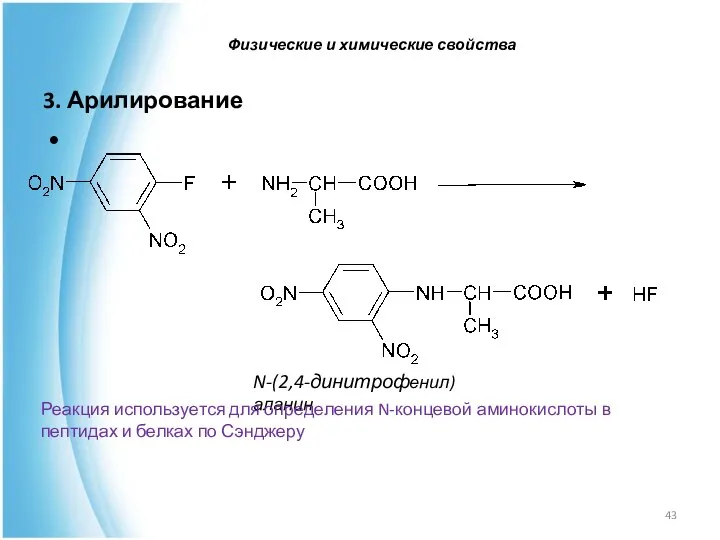 3. Арилирование N-(2,4-динитрофенил)аланин Реакция используется для определения N-концевой аминокислоты в пептидах