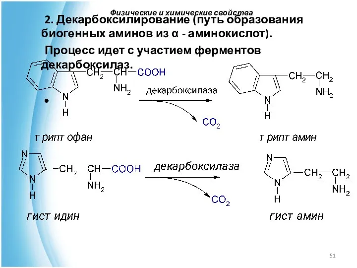 2. Декарбоксилирование (путь образования биогенных аминов из α - аминокислот). Процесс