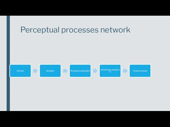 Perceptual processes network