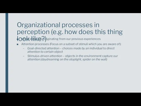 Organizational processes in perception (e.g. how does this thing look like?)
