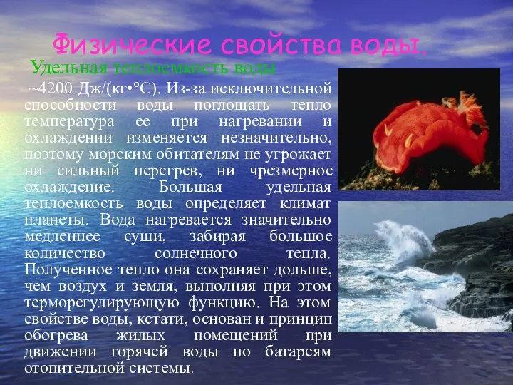 Физические свойства воды. Удельная теплоемкость воды ~4200 Дж/(кг•°С). Из-за исключительной способности