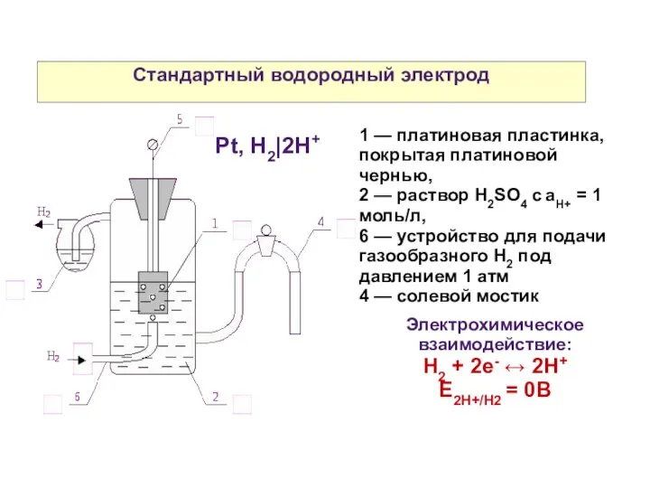 Стандартный водородный электрод 1 — платиновая пластинка, покрытая платиновой чернью, 2