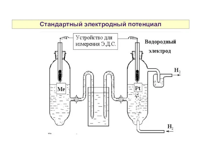 Стандартный электродный потенциал