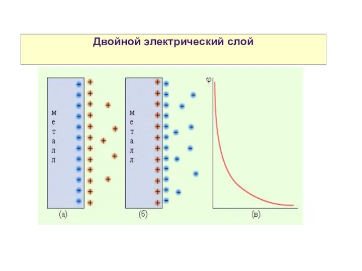 Двойной электрический слой