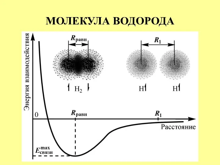 МОЛЕКУЛА ВОДОРОДА