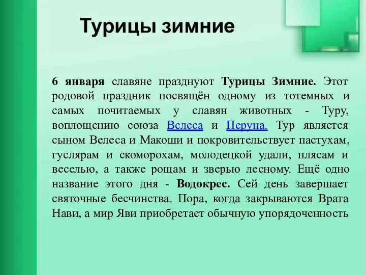 Турицы зимние 6 января славяне празднуют Турицы Зимние. Этот родовой праздник