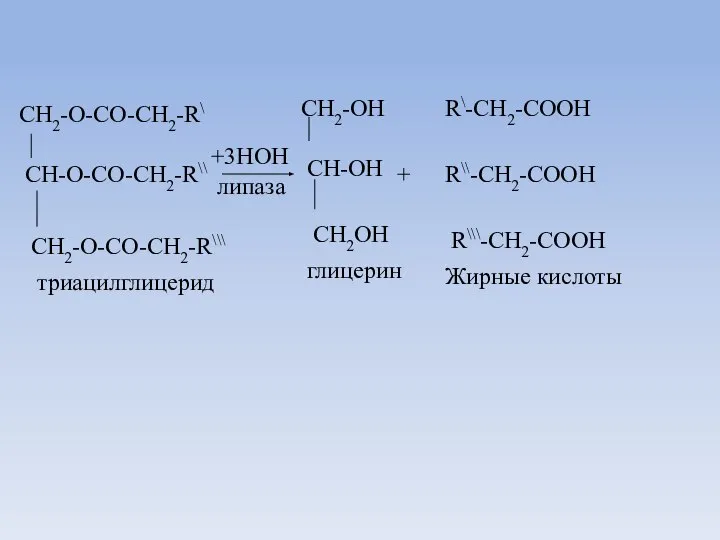 CH2-O-CO-CH2-R\ CH-O-CO-CH2-R\\ CH2-O-CO-CH2-R\\\ +3HOH липаза CH2-OH CH-OH CH2OH триацилглицерид глицерин + R\-CH2-COOH R\\-CH2-COOH R\\\-CH2-COOH Жирные кислоты