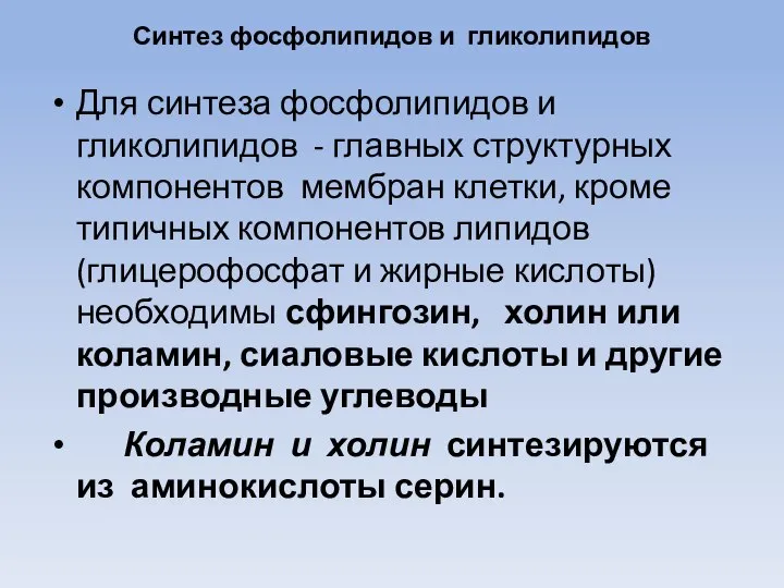 Синтез фосфолипидов и гликолипидов Для синтеза фосфолипидов и гликолипидов - главных