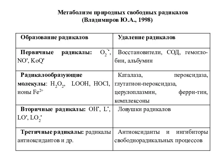 Метаболизм природных свободных радикалов (Владимиров Ю.А., 1998)