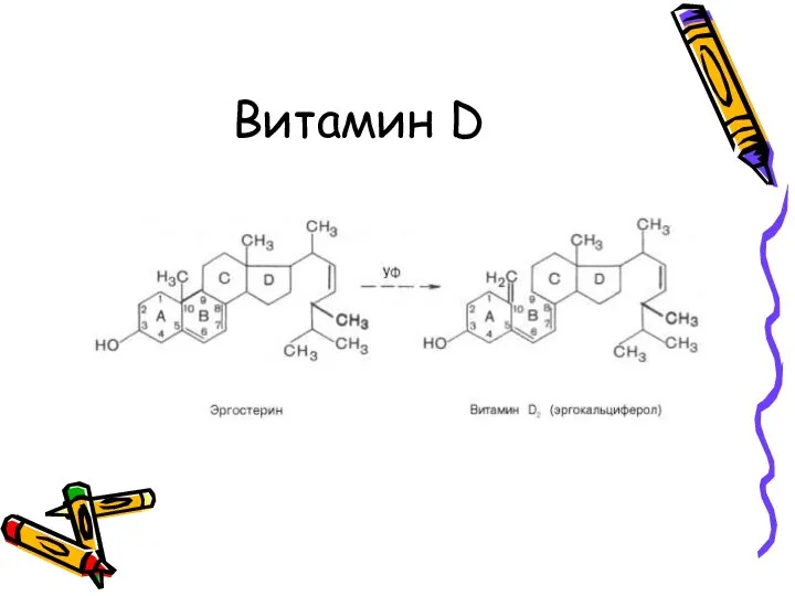 Витамин D