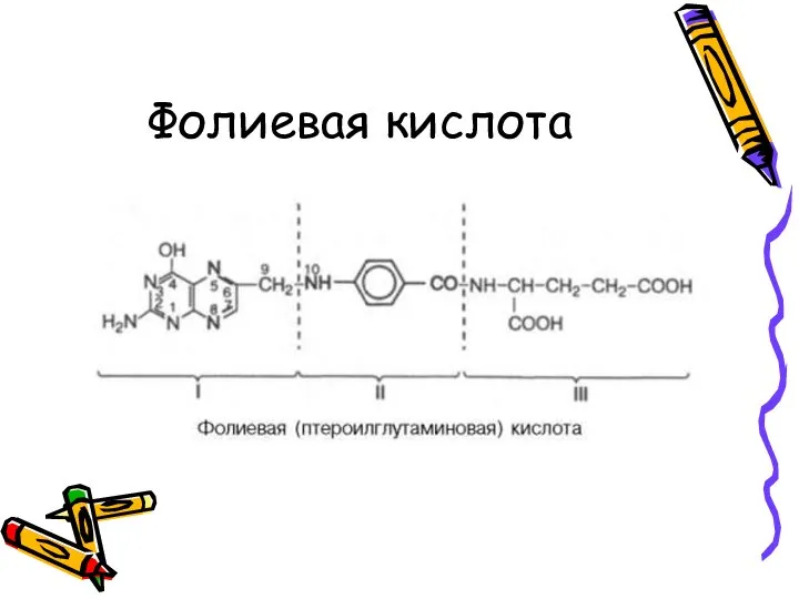 Фолиевая кислота