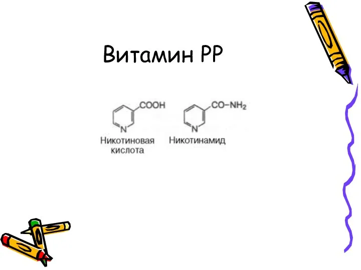 Витамин РР