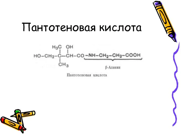 Пантотеновая кислота