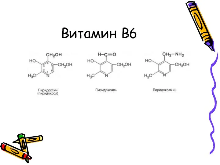 Витамин В6