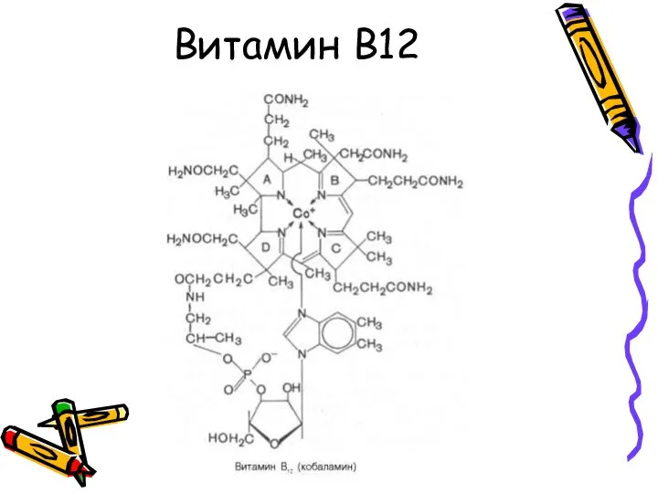 Витамин В12