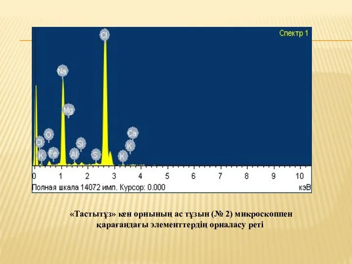 «Тастытұз» кен орнының ас тұзын (№ 2) микроскоппен қарағандағы элементтердің орналасу реті