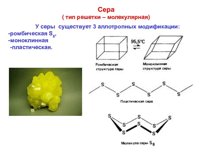 Сера ( тип решетки – молекулярная) У серы существует 3 аллотропных модификации: ромбическая S8, моноклинная -пластическая.