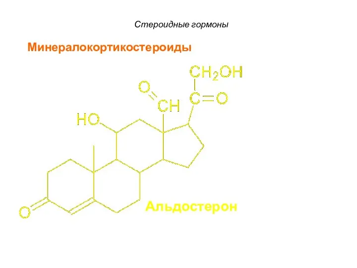 Стероидные гормоны Альдостерон Минералокортикостероиды