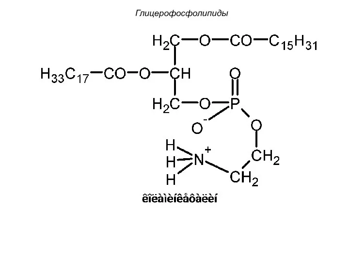 Глицерофосфолипиды